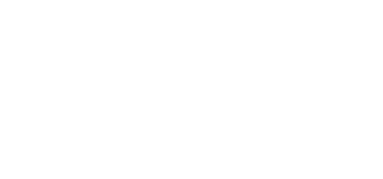 ness logo